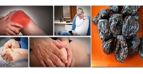 Kuru Erik: Kemik Kütle Kaybını Engelleyen Bir Yiyecek