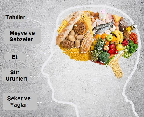 beslenmenin beyne etkisi
