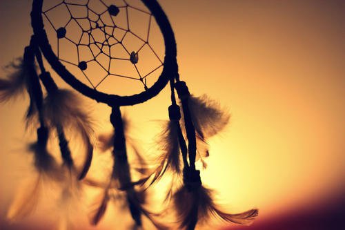 Düşkapanı İle İlgili Bilmediğiniz Bilgiler