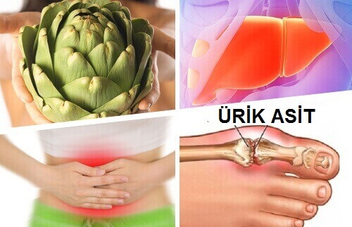 Enginarın Faydaları ve Şifalı Özellikleri