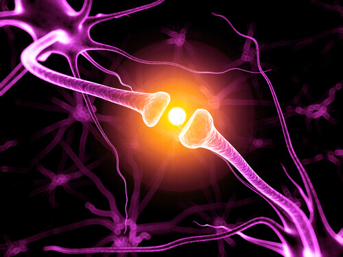 hafıza ve nöronlar