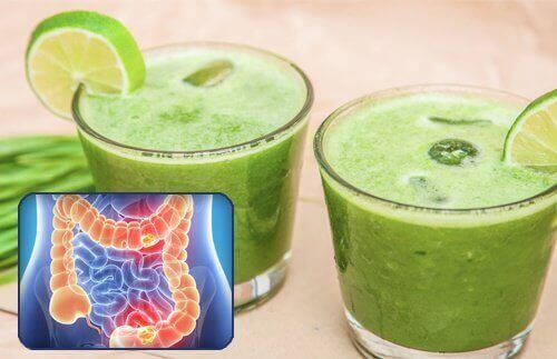 Bağırsakları Sebze Meyve Sularıyla Arındırmak