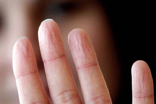 Vücudunuz Hakkında 10 Şaşırtıcı Gerçek Vücudunuz Hakkında 10 Şaşırtıcı Gerçek