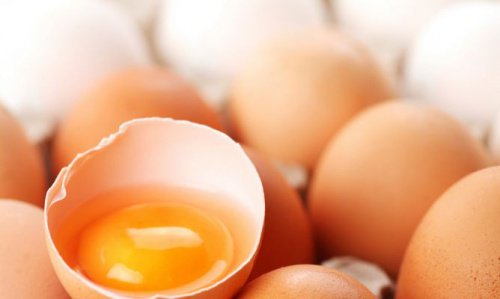 kırık yumurtanın içinde yumurta sarısı
