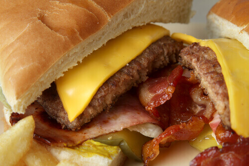 Hamburger: Neden Yapıldığını Biliyor Musunuz?
