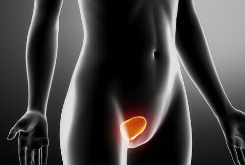 İdrar Yolu Enfeksiyonunu Önleme ve Tedavi Etme