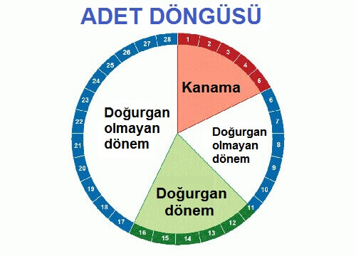 En Doğurgan Günleriniz Hangileri?