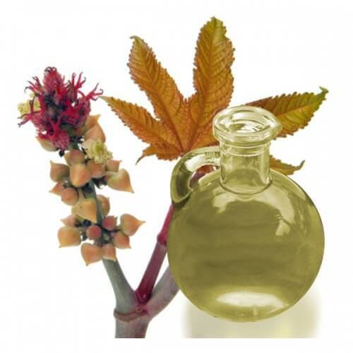 saç uzamasına destek olan doğal yağ