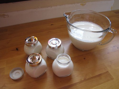 ev yapımı yoğurt