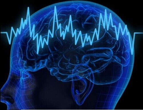 Hafızayı Kuvvetlendirmeye Yardımcı 5 Besin