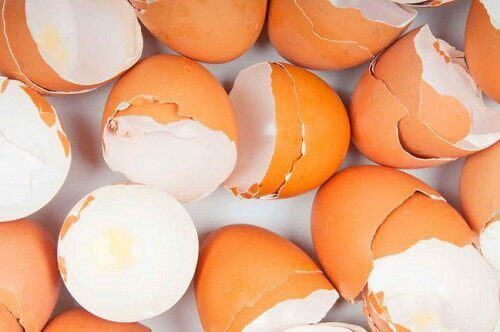 Yumurta Kabuğu ve Şaşırtıcı Kullanımları