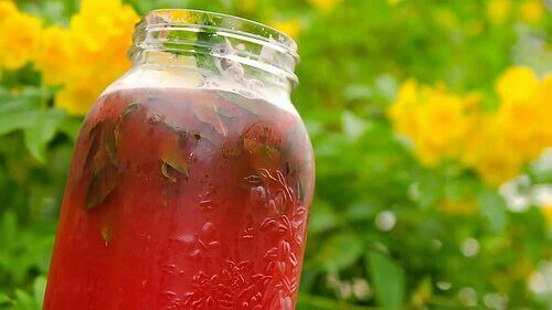 karpuz çekirdeği çayı