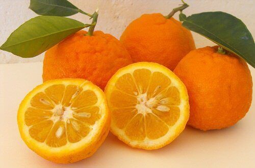 Portakal Diyeti ile Kilo Verip Sağlığınızı Koruyun
