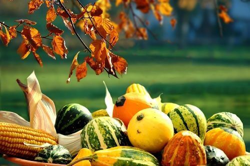 sağlıklı yiyecekler