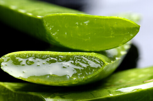 aloe