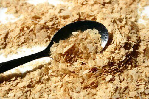 Bira Mayası ile Beslenme ve Kilo Verme