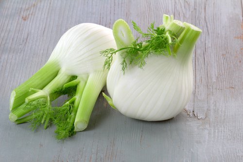 rezene bitkisi