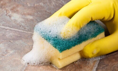 Alerji Yapmayan Bir Ev İçin İpuçları