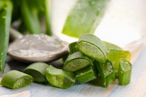 aloe vera