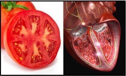 kalp ve domates