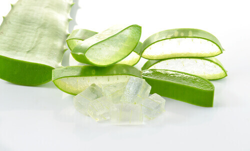 aloe vera