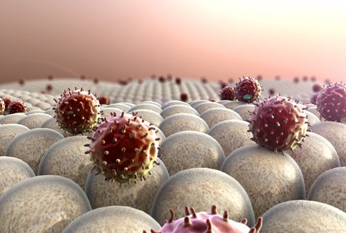 bağışıklık sistemini güçlendirmek