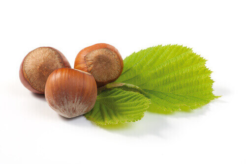 fındık