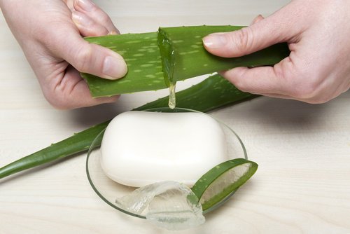 aloe vera sabunu