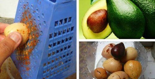 Avokado Çekirdeği: Sağlığa ve Güzelliğe 10 Faydası