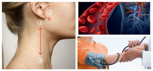 Yüksek Tansiyonu 5 Dakikada Düşürmek