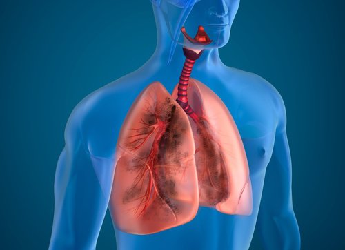 Sigara İçenler İçin Akciğeri Temizleyen 10 Doğal Ürün