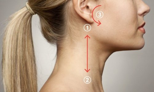 kadın yüzü profil baskı noktaları kulak boyun