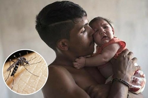 Dikkat! Zika Virüsü Hakkında Bilmeniz Gereken 10 Şey