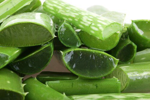 aloe vera dilimleri
