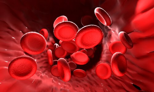 kan hücreleri