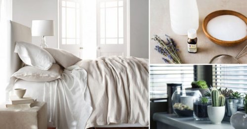 Odanızı Doğal Yoldan Dezenfekte Etmek İçin 8 Tüyo