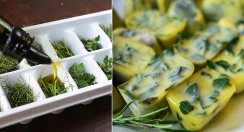 otları muhafaza etmek