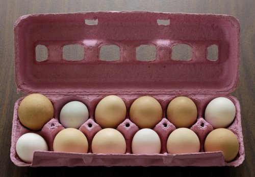 yumurtaların saklanması