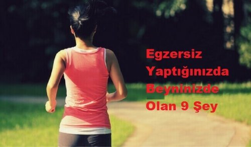 Egzersiz Yaptığınızda Beyninizde Olan 9 Şey