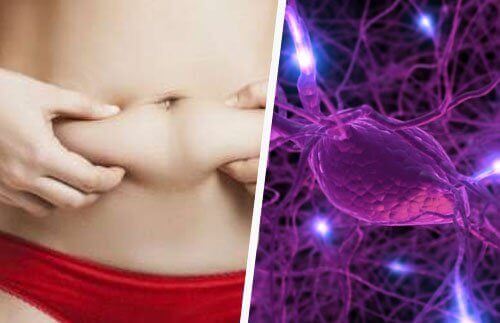 Hormonal Dengesizlik ve 10 Göstergesi