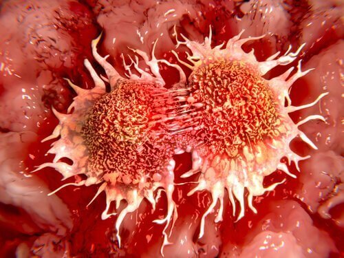 kanser hücresi