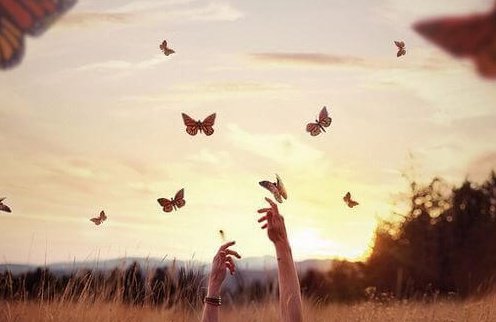 yaşamayı öğrenmek ve kelebekler