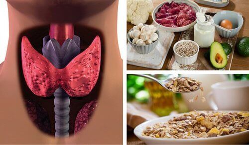 Metabolizma Hızınızı Arttıran Yiyecekler Yardımıyla Hipotiroidizm ile Savaşın Metabolizma Hızınızı Arttıran Yiyecekler Yardımıyla Hipotiroidizm ile Savaşın
