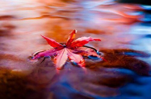 Akış: Stresle Savaşmak için Muhteşem Bir Yol