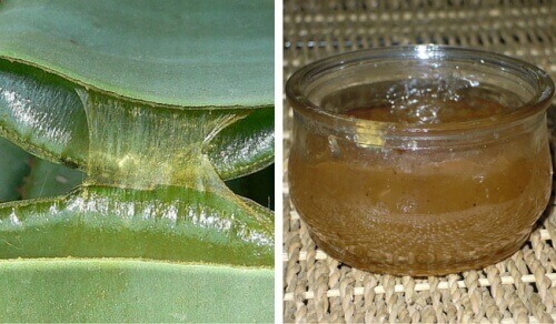 Aloe Vera Jölesi Evde Nasıl Yapılır?