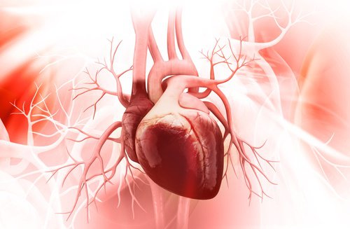 Kırık Kalp Sendromu: Önemli 3 Bilgi