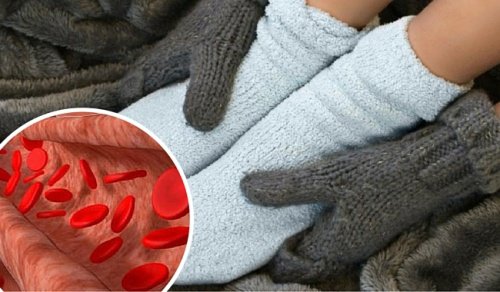 Dolaşım ve İltihaplanma için Reçeteler