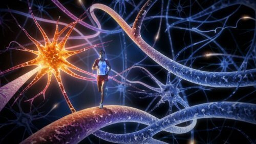 Beyni Güçlendirmek için En İyi 8 Egzersiz