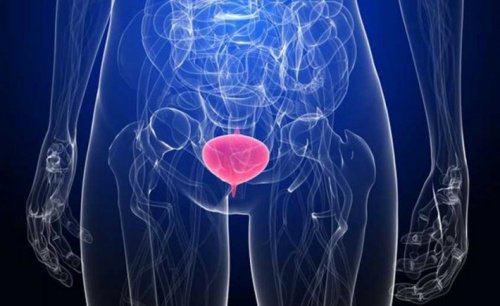 Uzun Süre İdrar Tutmak Neye Sebep Olur?