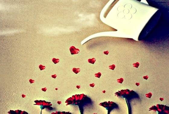 kalp ile sulanan çiçekler